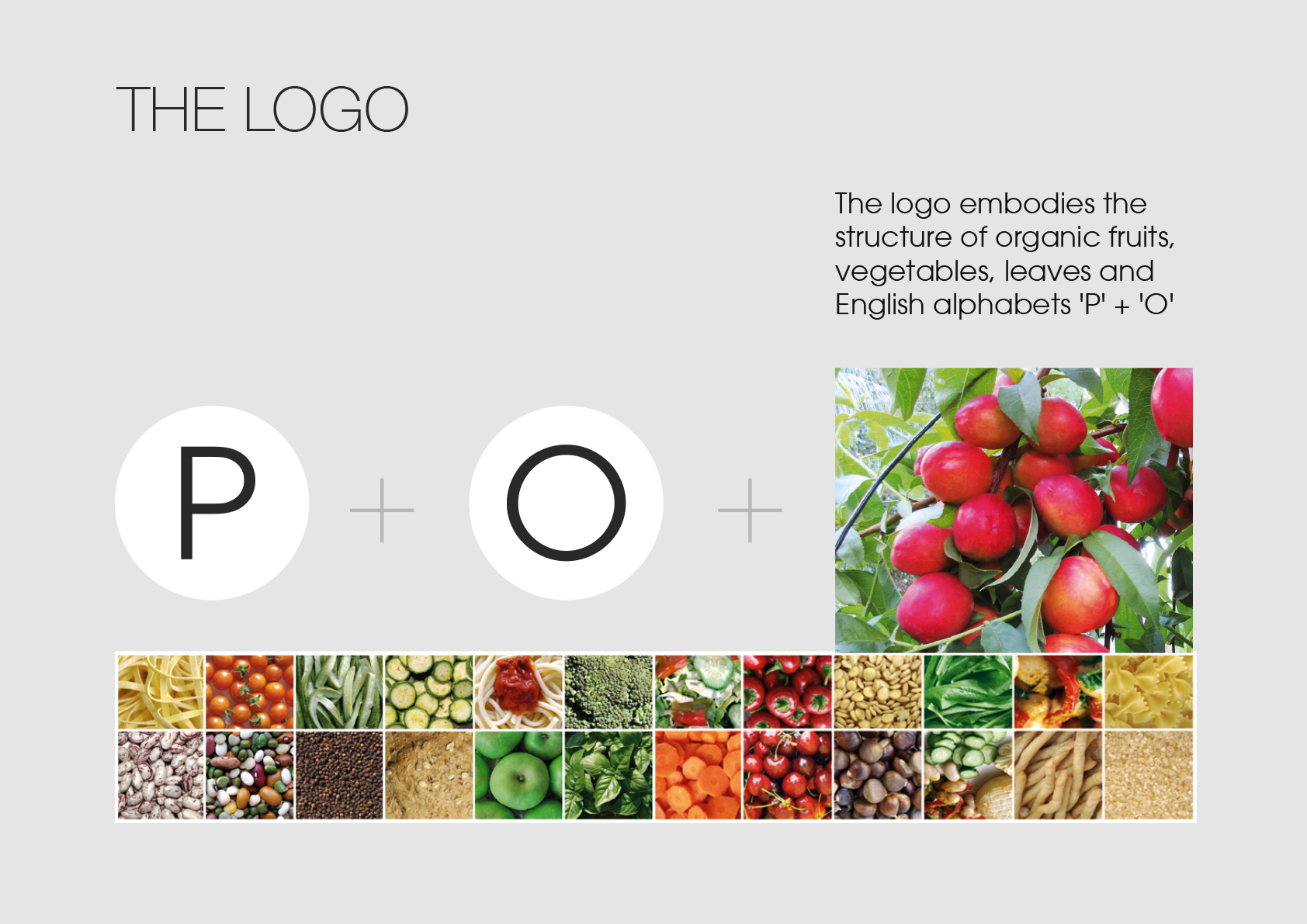 Pragati Organics Logo